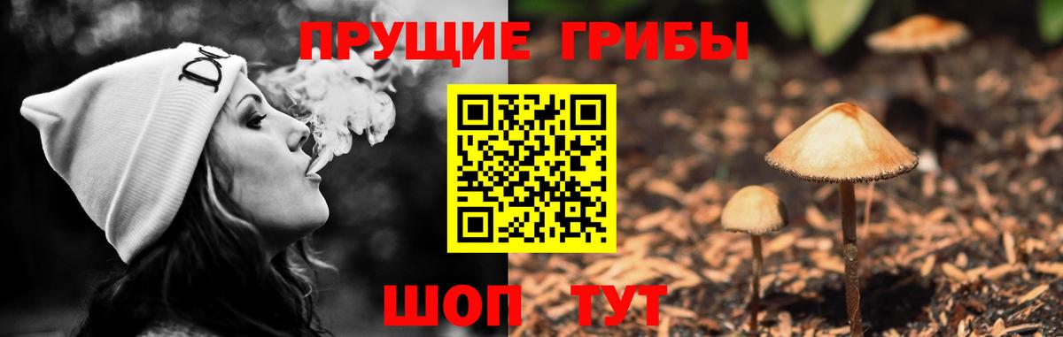 Галлюциногенные грибы прущие грибы Карачаевск